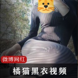 橘猫黑条纹衣