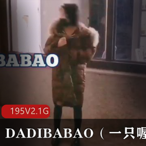 社保姬DADIBABAO私拍合集：三洞束缚展示，195个视频2.1G，抖M打野妹子的有趣内衣